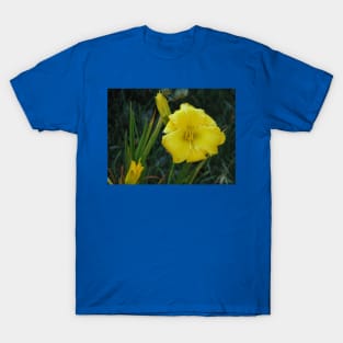 Day lily T-Shirt